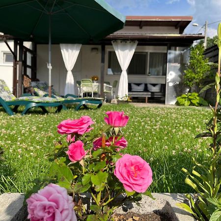 Charmante Petite Maison Transylvanie Villa Négyfalu Kültér fotó