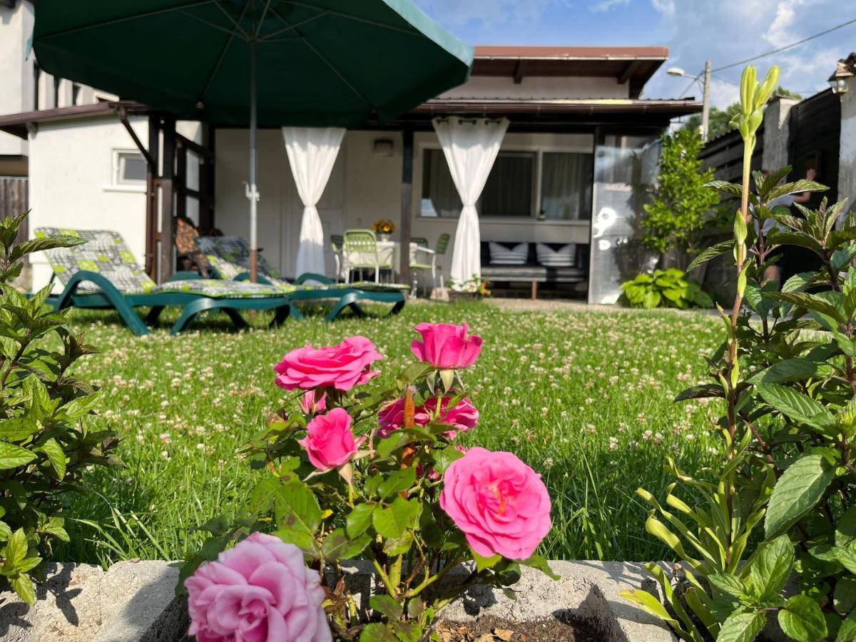 Charmante Petite Maison Transylvanie Villa Négyfalu Kültér fotó