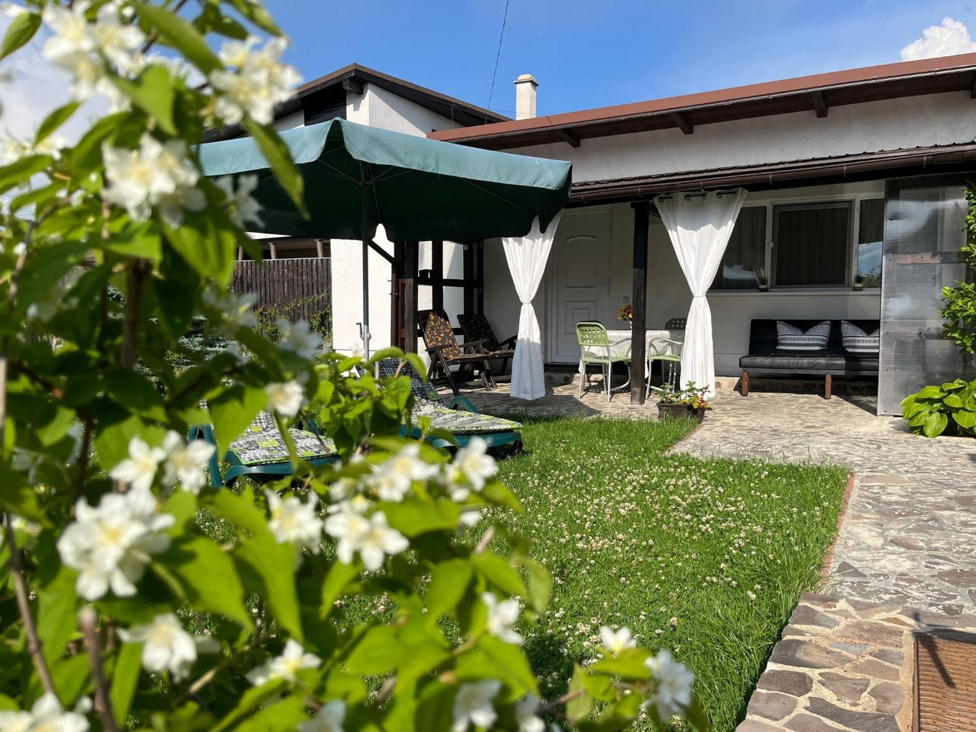 Charmante Petite Maison Transylvanie Villa Négyfalu Kültér fotó