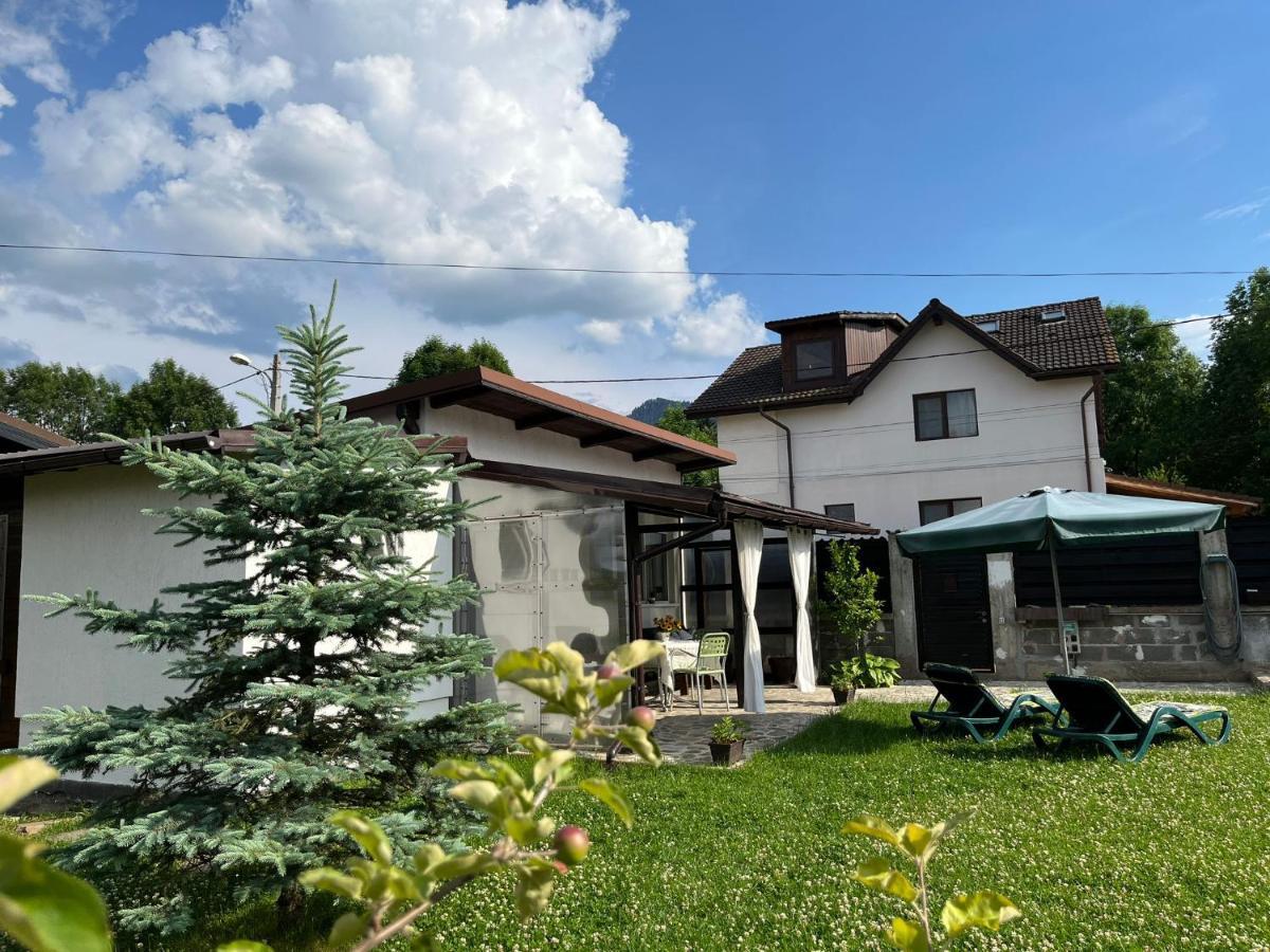 Charmante Petite Maison Transylvanie Villa Négyfalu Kültér fotó