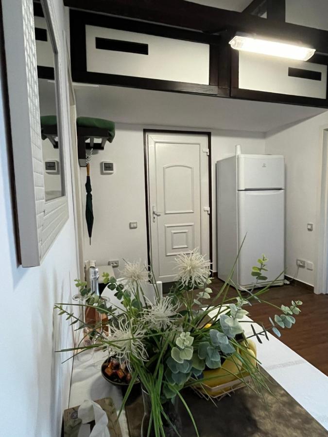Charmante Petite Maison Transylvanie Villa Négyfalu Kültér fotó