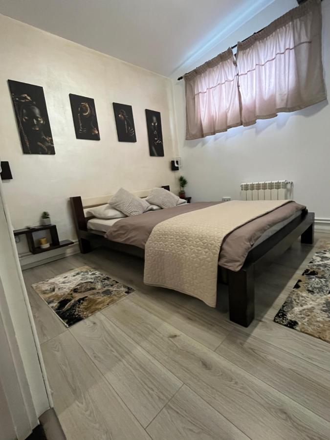 Charmante Petite Maison Transylvanie Villa Négyfalu Kültér fotó